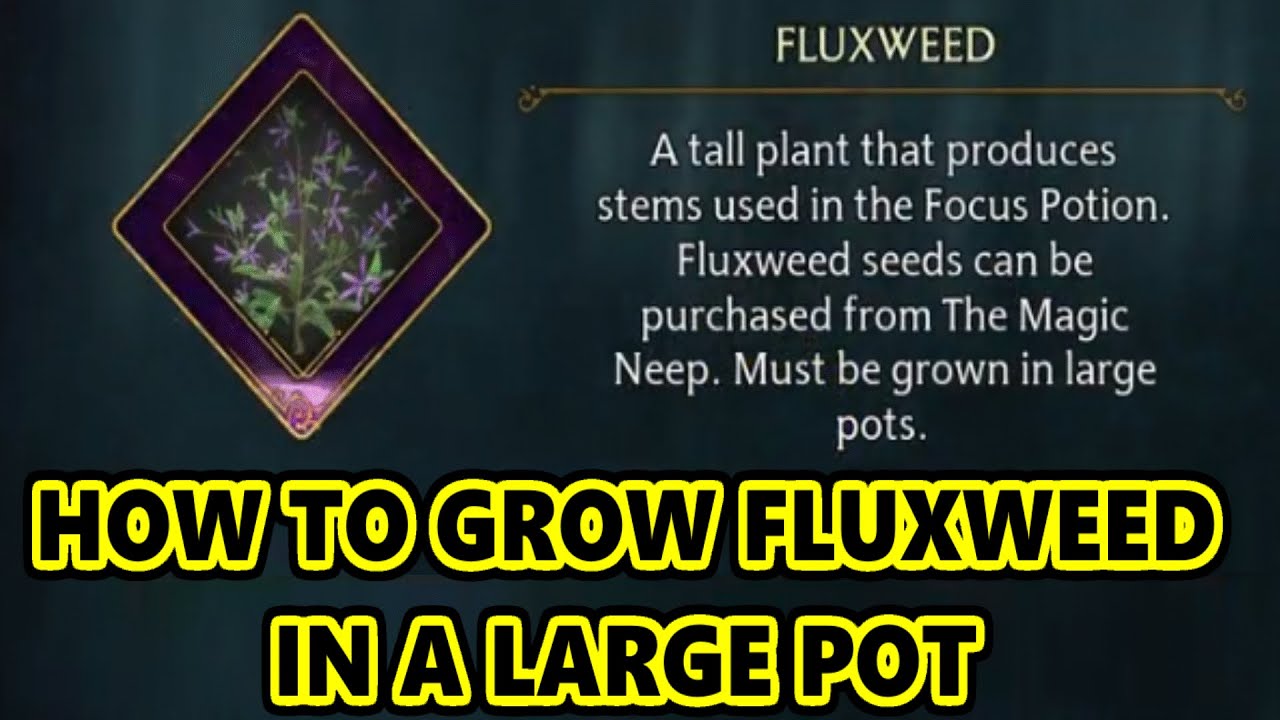 Where to find Fluxweed stems and seeds in Hogwarts Legacy