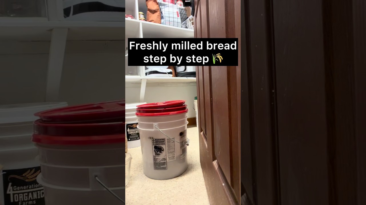 🌾My Freshly Milled Basic Yeast Bread🌾 Recipe ⬇️