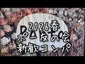 【多肉植物】2026春ポー友の会新歓コンパ会場 2026.04.18