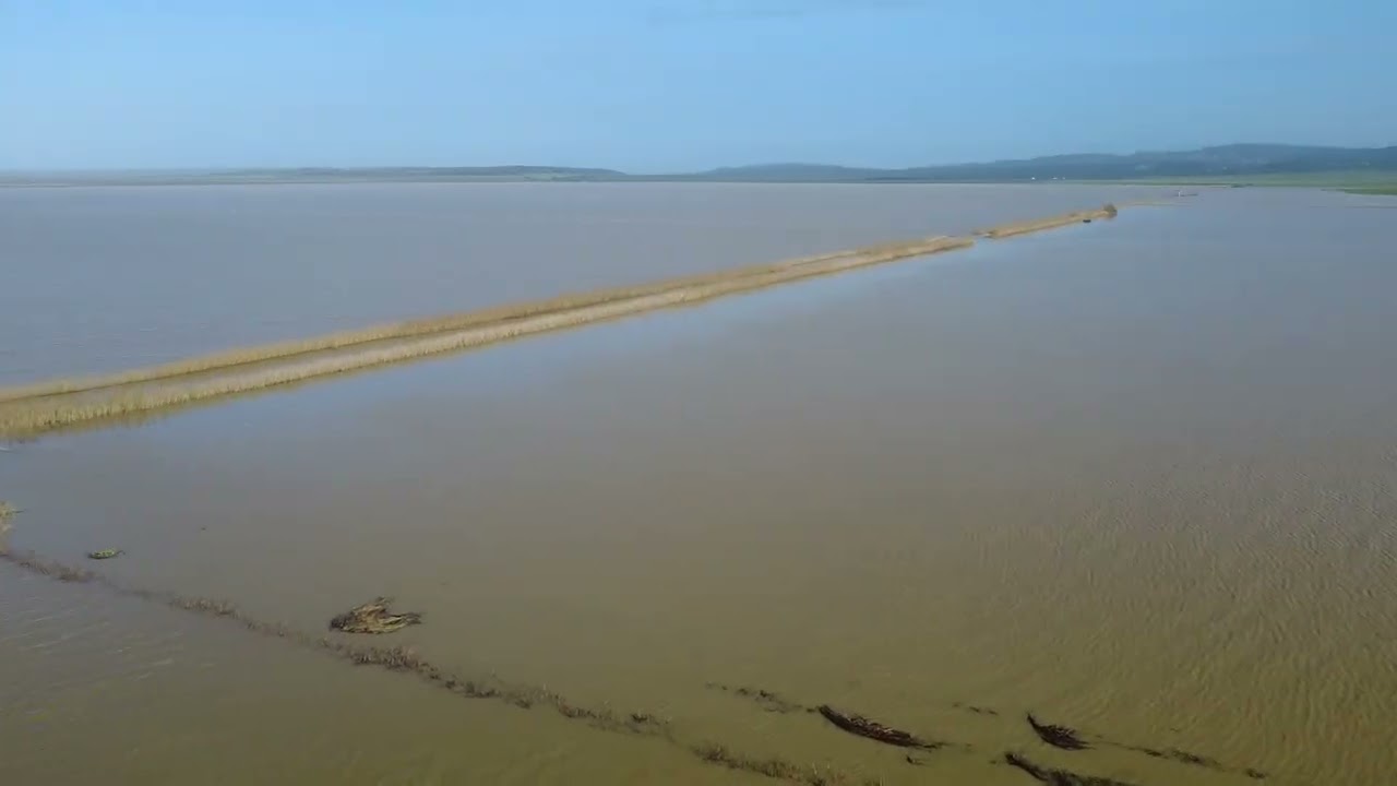 Laguna de la Janda. Inundación enero-febrero de 2026.