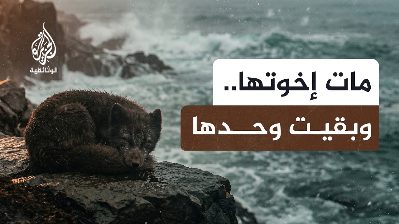 من رحم العواصف.. كيف تنجو صغار الحيوانات من الجوع والغرق؟