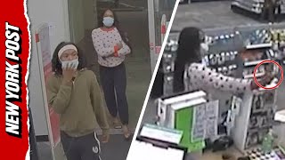 Young Pepper Spray Robbers Target Cvs Workers In Repeat Florida Heists