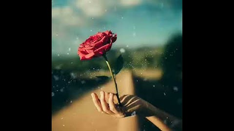 🌷Andi Rehan Putra Patahuddin🌷