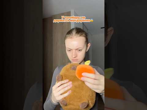 арт. на капибару-батон TOTTY TOYS 250099559 (WB), 1649844749 (Озон)🍊