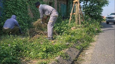 The city has abandoned a treasure - Full cleanup video
