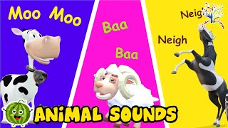 The Animal Sounds Song TA3TA1 These Are The Sounds That The Animals Make | Edufam Kids Nursery Rhyme