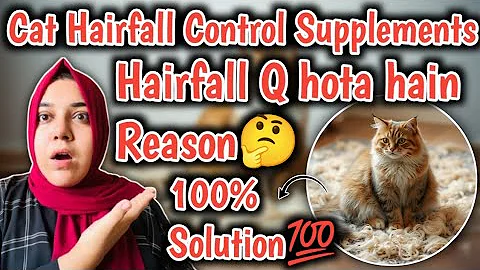 Watch the video about How to stop cat from shedding😱stop cat shedding supplements🤔best Cat food for cat hair loss🤔