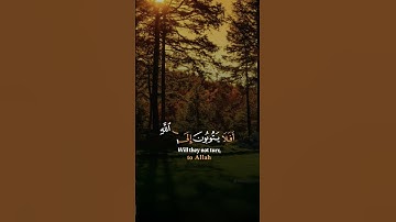 القران الكريم راحة نفسية # لا اله الا الله سيدنا محمد رسول الله #اكتب_شي_تؤجر_عليه