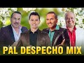 Pal Despecho Mix - Luis Alberto Posada, Jorge luis Hortua, El Andariego, El Charrito Negro y mas