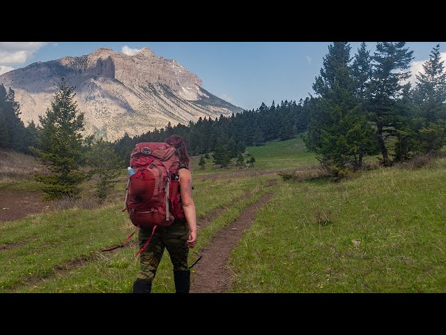 STANDARD CALIFORNIA × Rocky Mountain 46 sddefault.jpg