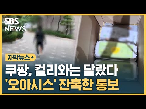 쿠팡 컬리와는 달랐다 잔혹한 오아시스마켓 자막뉴스 SBS 
