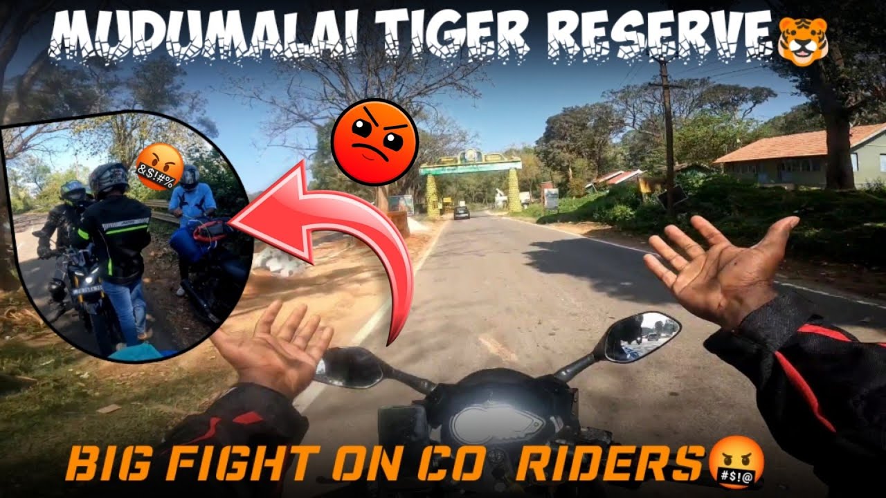 🐯Mudumalai Tiger reserve | way to Theppakadu Elephant Camp🐘 |Fight on co-riders😰