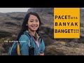 Pendakian gunung tambora via pancasila  gps track subtitle cc