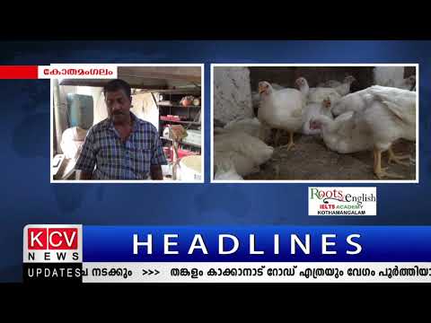 വില കുത്തനെ ഉയര്‍ന്നതോടെ കോഴി ഇറച്ചി ഉപഭോഗം ഗണ്യമായി കുറഞ്ഞു.