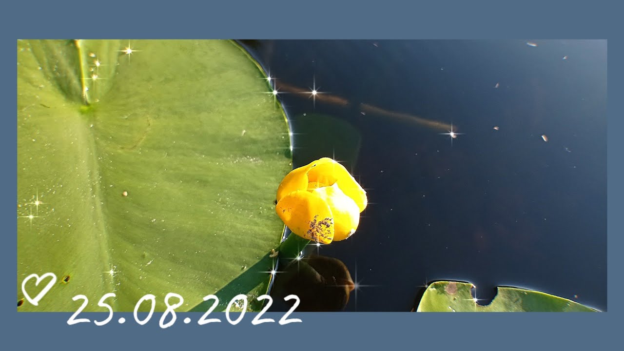 Как похудеть,ни в чем себе не отказывая? Что ,кроме метаболизма? Может ...