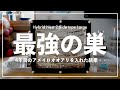 1000匹を超えるアメイロオオアリに巨大巣を増築した結果【アリ飼育ケース】