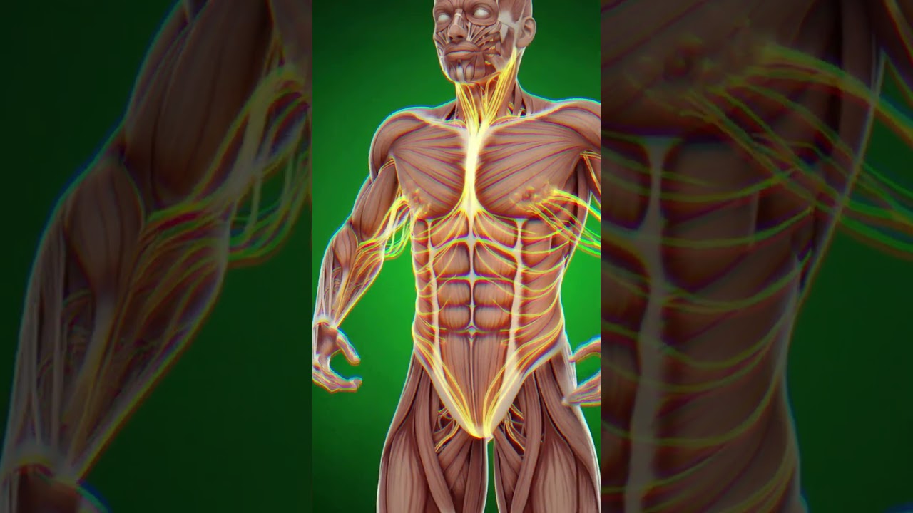 4 Best Benefits Of Blood Orange Juice