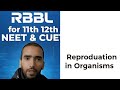 Basic Concepts of Sexual Reproduction | Class 12 Zoology | NCERT | NEET | CUET