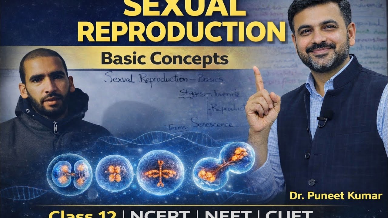 Basic Concepts of Sexual Reproduction | Class 12 Zoology | NCERT | NEET | CUET