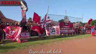 Story WA Persipa terbaru 2019 ||