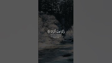 إِنَّ لِلْمُتَّقِينَ مَفَازًا القارئ أحمد الحمادي