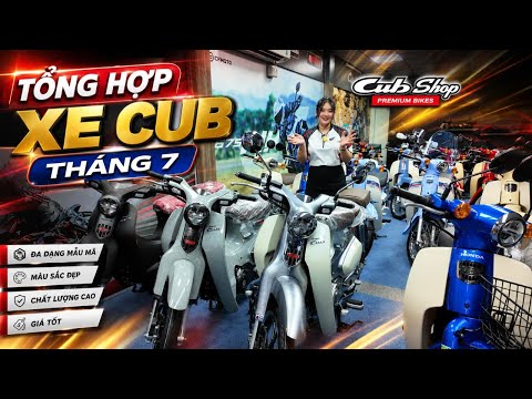 Tổng Hợp Honda Super Cub 50, 110, 125 Nhập Khẩu Nhật&Thái Chính Ngạch, Chốt Xe Liên Hệ