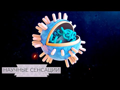 Пандемия. Угрозы современного мира