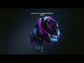 Lane 8 & Kasablanca - Run