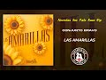 Conjunto Bravo - Las Amarillas / 2024