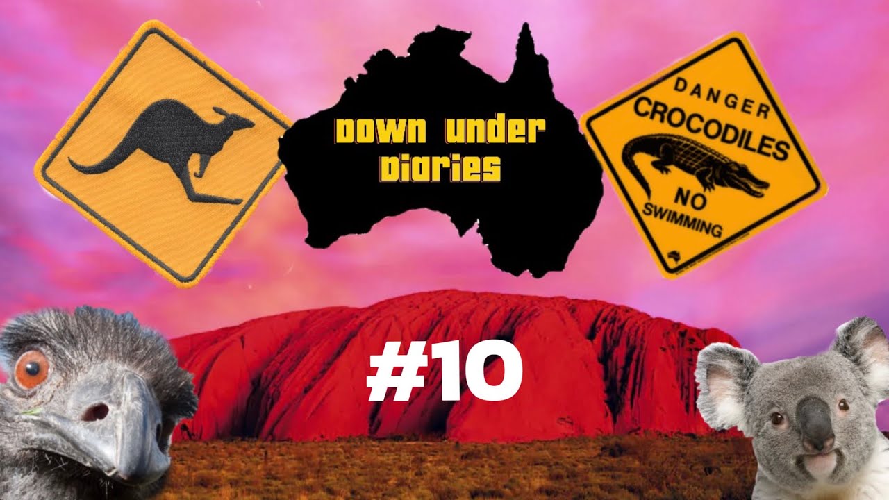 Down Under Diaries | Australia Day, New Flat and Time in the Sun