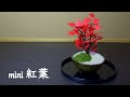 （画用紙）秋の飾り　簡単！小さくて可愛い もみじ の置き物の作り方【DIY】(Drawing paper) easy! Small and cute maple ornament