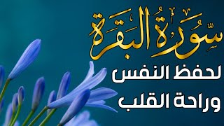 سورة البقرة💗لجلب الرزق وقضاء الحوائج وتحصين البيت بإذن الله  ~  راحة قلب لا توصف💛