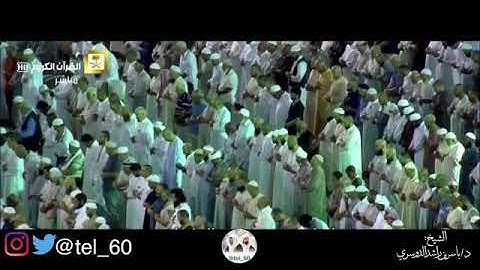 #تلاوات #ماهر_المعيقلي #ياسر_الدوسري #ناصر_القطامي #السديس #خالد_الغامدي(31)