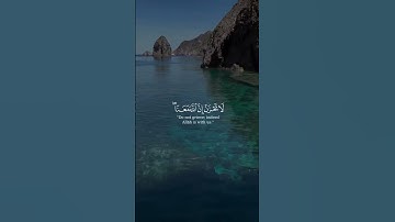 إلَّا تنصروه فقد نصره الله إذ أخرجه الذين كفروا ثاني اثنين من سورة التوبة بصوت الشيخ فيصل الهاجري