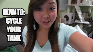 How To Fishless Cycle Shrimp Tank Fish Aquarium Using Dr.tims Products