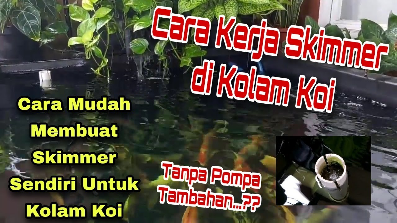 Cara Kerja Skimmer Buatan Sendiri Pada Kolam Koi Kolam Bebas Kotoran