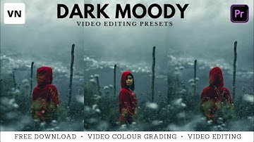 Dark Moody VN editor videography presets | color grading in video | Lut preset | Videoediting filter