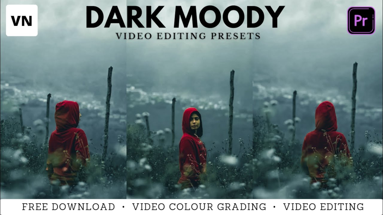 Dark Moody VN editor videography presets | color grading in video | Lut preset | Videoediting filter