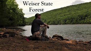 Let's Just Sit Here for a Bit ~ Weiser State Forest, PA