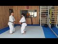 Gekisai Dai Ichi  Renzoku Bunkai. Sandra Sanchez Mp3 Song