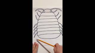 How to draw a roly-poly