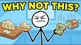 Why Can't We Eat Bread Mold If We Eat Cheese Mold?