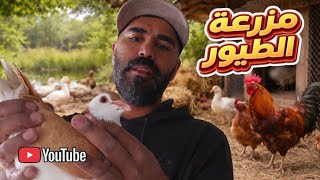 حمام ودجاج ووز  في مزرعه 🤔 مع اكتر من 40 جوز  حمام والسعر 🤔😱