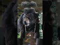 Nadir Fotoğraflar Part 8