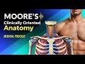 1 CH 1 Foundations Of Anatomy Moore S Clinically Oriented Anatomy 1 CH 1 Foundations Of Anatomy Moore S Clinically Oriented Anatomy