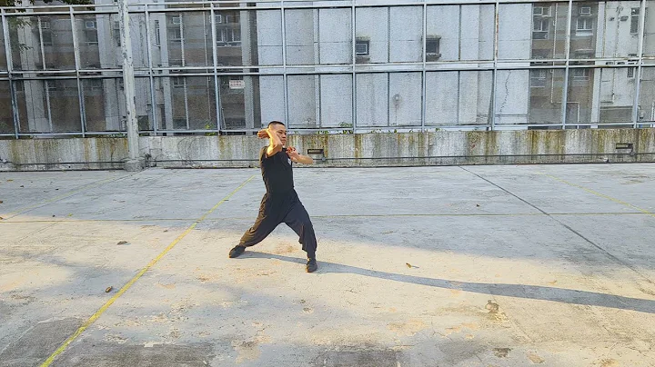 工字伏虎拳教學篇（7）Gung Gee Fook Fu Kuen 5-2-2024