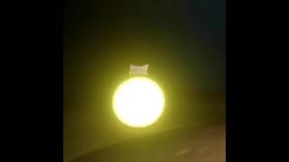 #sky bug light sphere