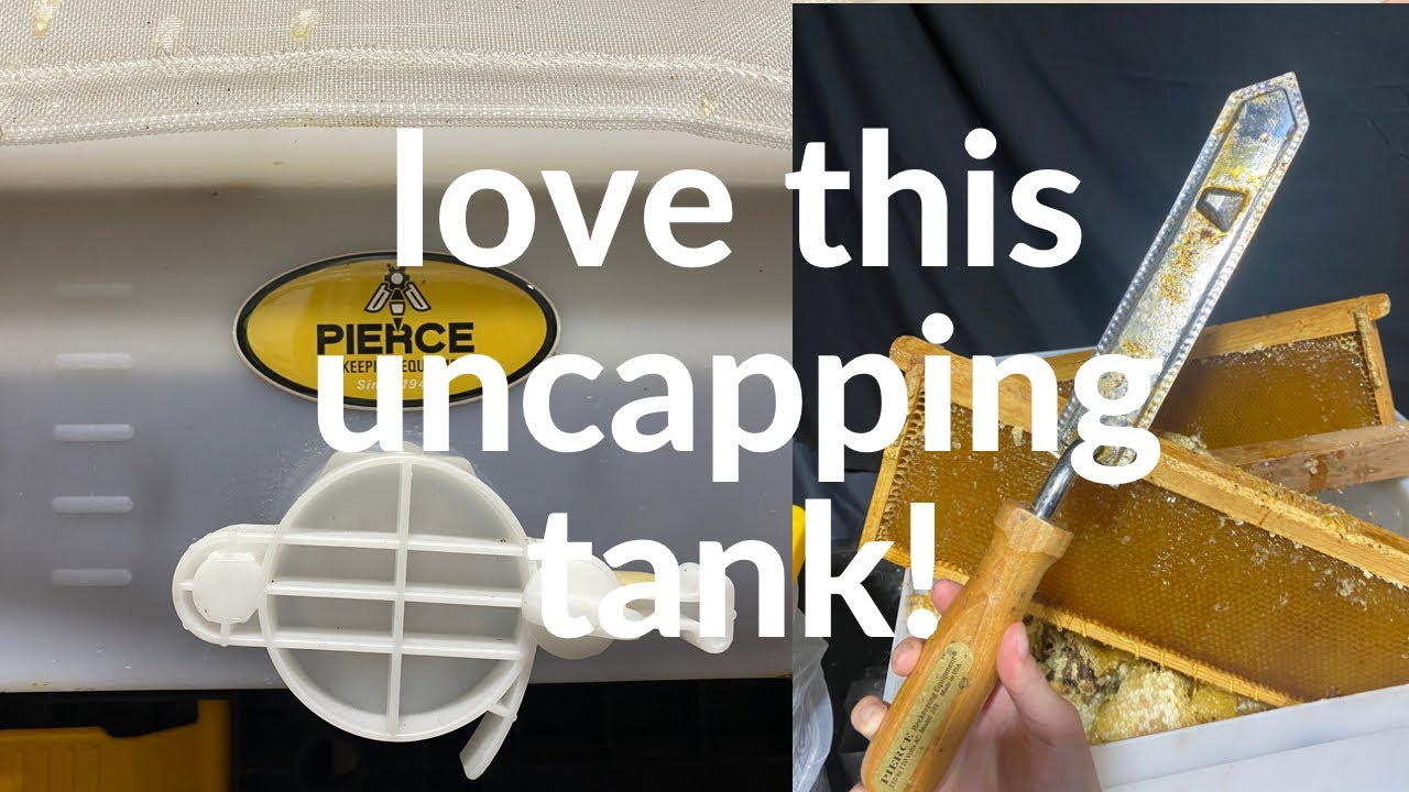 Next Level Honey Extraction for Hobby Beekeepers! 🐝 YouTube