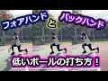 【テニス】低いボールの打ち方！フォアハンドとバックハンドストローク！奥野彩加