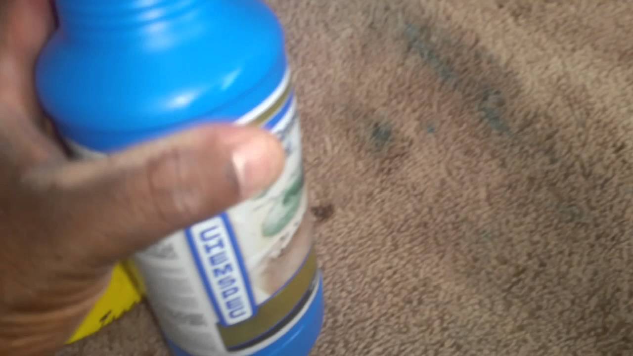 Truman Steemers carpet cleaning Snellville GA YouTube